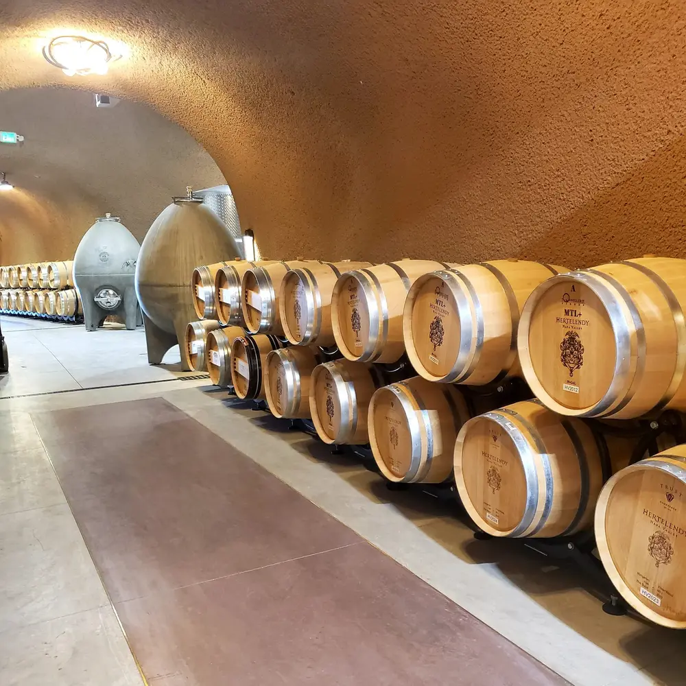 Hertelendy wines in the cellar