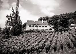 Great Uncle Gabor's house (now the Kisfaludi Museum) and his vineyard in Badacsony